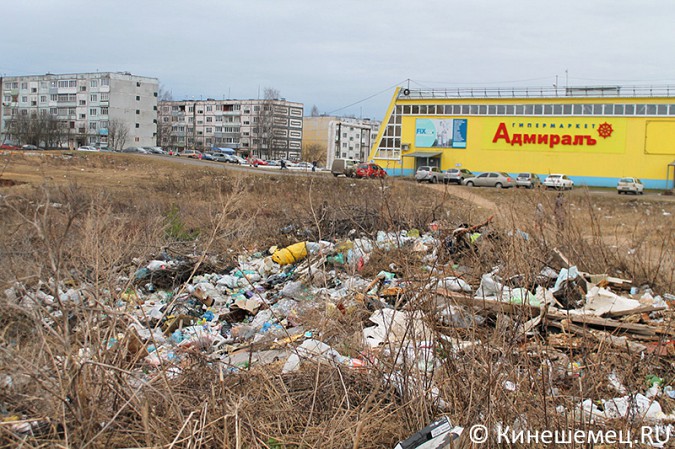 Жители Кинешмы сами превращают город в помойку фото 10