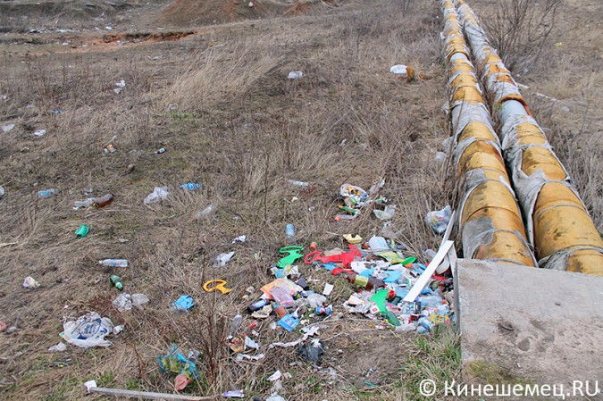 Жители Кинешмы сами превращают город в помойку фото 4