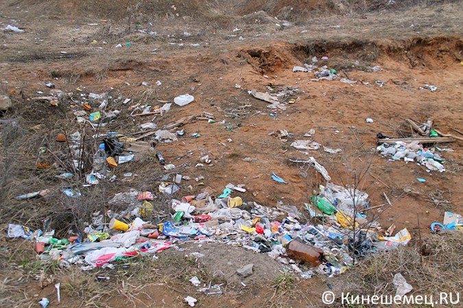 Жители Кинешмы сами превращают город в помойку фото 6