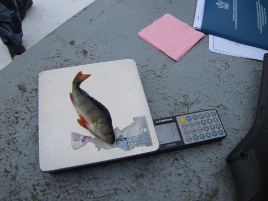 Сотрудники кинешемской колонии победили на соревнованиях по рыбной ловле фото 2