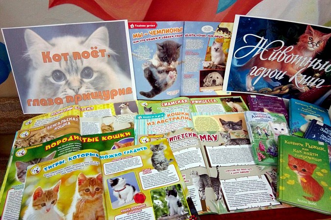 В кинешемской библиотеке отметили День кошек фото 3