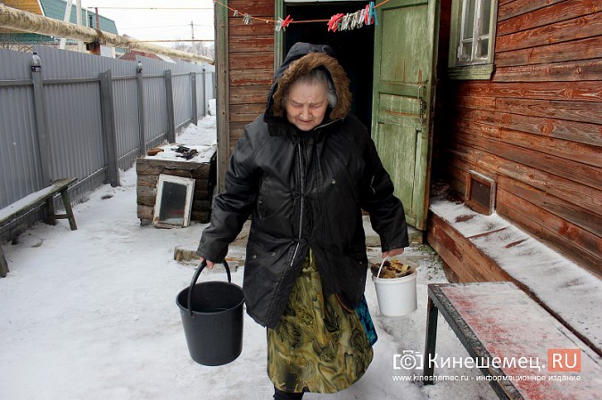 Сердобольная кинешемка круглый год прикармливает божьих птиц фото 7