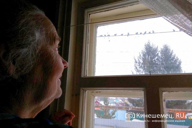 Сердобольная кинешемка круглый год прикармливает божьих птиц фото 11