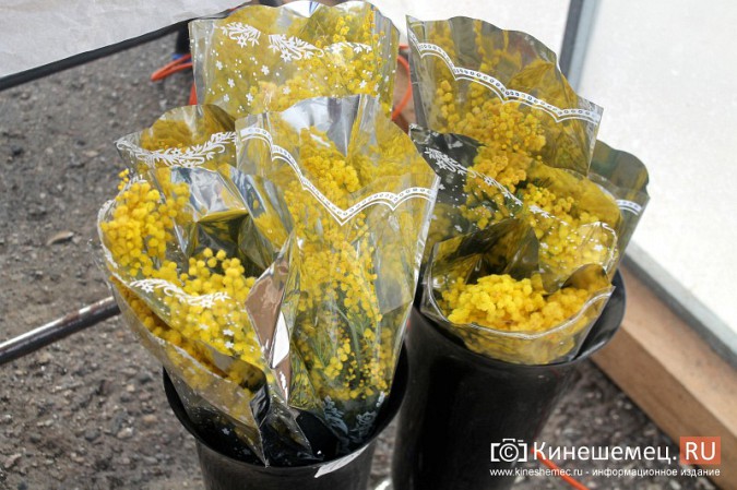 В центре Кинешмы развернулась цветочная ярмарка фото 18