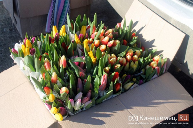 В центре Кинешмы развернулась цветочная ярмарка фото 11