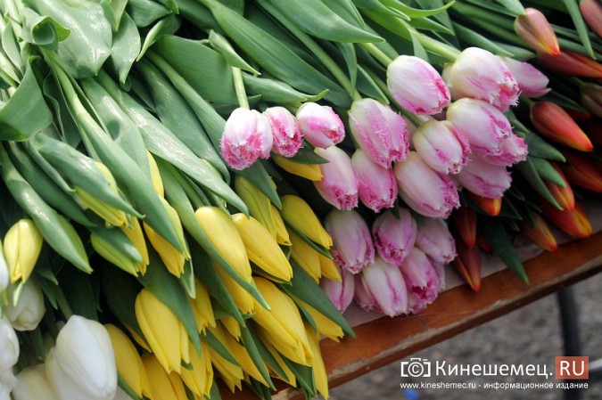 В центре Кинешмы развернулась цветочная ярмарка фото 12