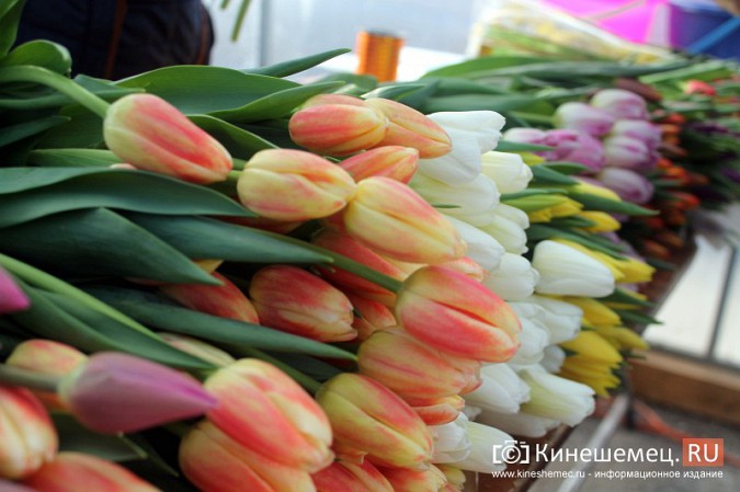 В центре Кинешмы развернулась цветочная ярмарка фото 14