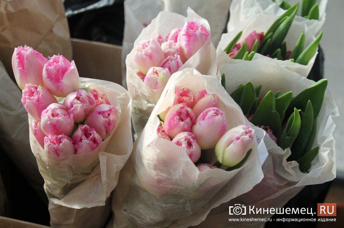 В центре Кинешмы развернулась цветочная ярмарка фото 17