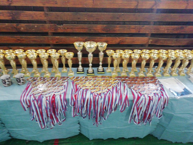 Кинешемские борцы завоевали медали всех достоинств на турнире «ОСЕ» фото 7