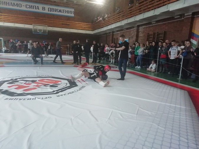 Кинешемские борцы завоевали медали всех достоинств на турнире «ОСЕ» фото 6