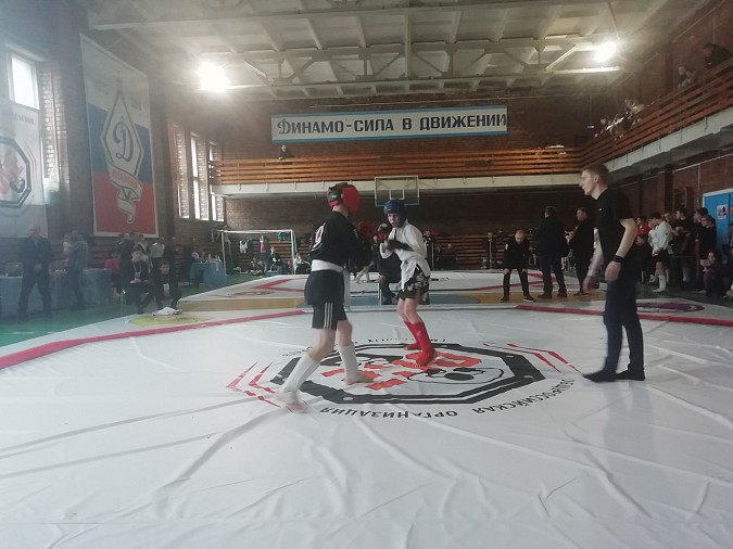 Кинешемские борцы завоевали медали всех достоинств на турнире «ОСЕ» фото 5