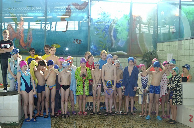 В Наволоках состязались пловцы за кубок города фото 2