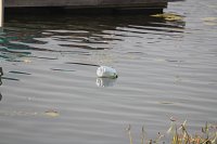 В ночь с 14 на 15 августа в Волге утонул 20-летний житель Кинешмы