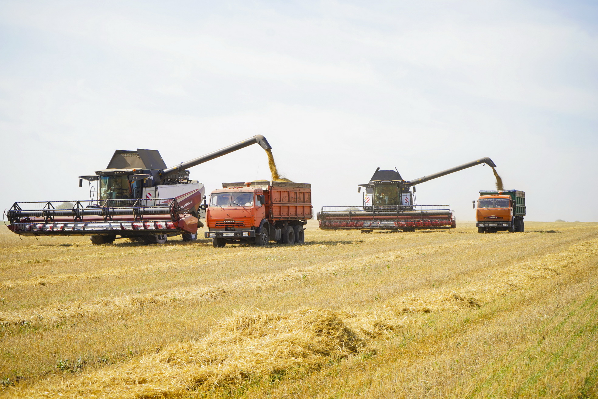 Аграрии Ивановской области продолжают жатву