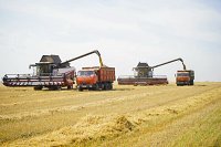 Аграрии Ивановской области продолжают жатву