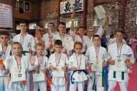 Кинешемские каратисты выступили на Кубке Пахры в Подмосковье