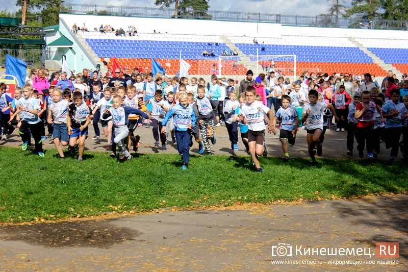 Кинешма станет центральной площадкой проведения Всероссийских соревнований «Кросс нации»