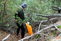 В рамках экологического субботника активисты убрали парковую зону «Сосновый бор «Богданиха»