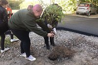 Кинешемские волонтеры присоединились к Всероссийскому экологическому субботнику