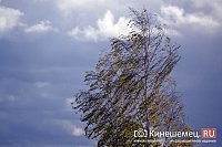 В Ивановской области ликвидируют последствия шквалистого ветра, пострадавших нет