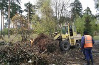 УГХ продолжает вывозить с улиц Кинешмы мусор и ветки