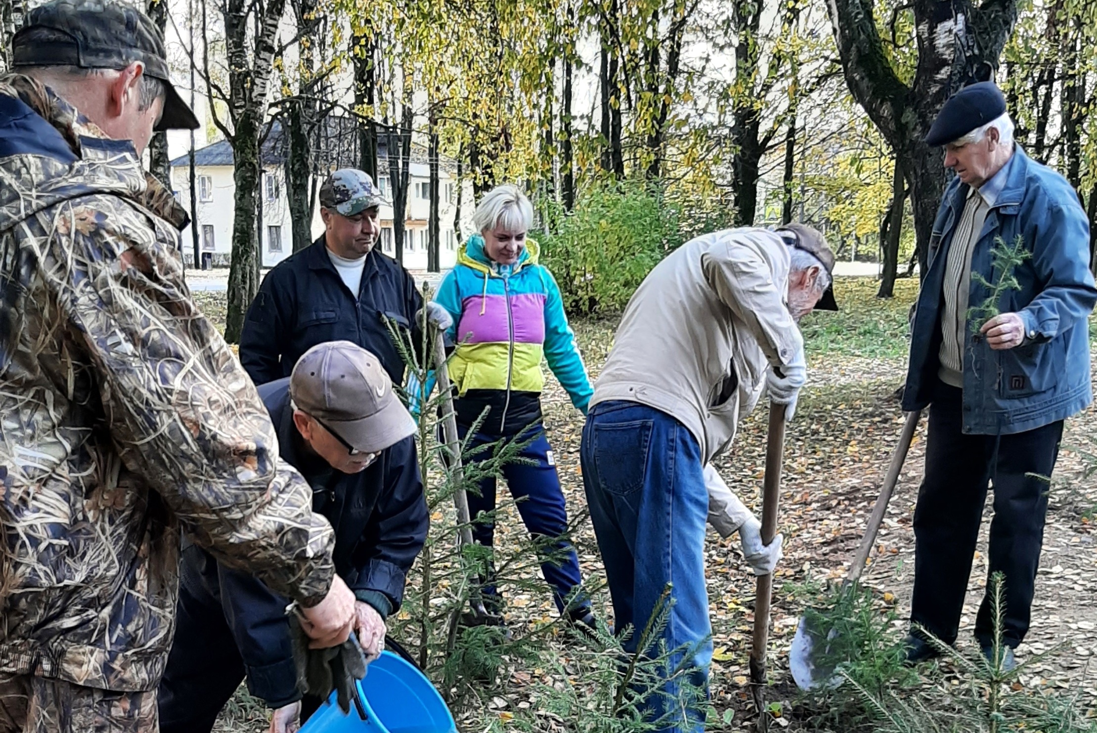 Аллея кинешма. Харино Хвойная аллея. Аллея. В сквере Жукова высажены. Новости Иваново 2 октября.