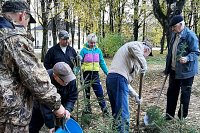 В сквере на пересечении ул.Правды – Менделеева высадили хвойную аллею