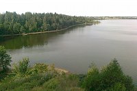 Житель Кинешемского района незаконно ловил  на Ёлнати сетью рыбу