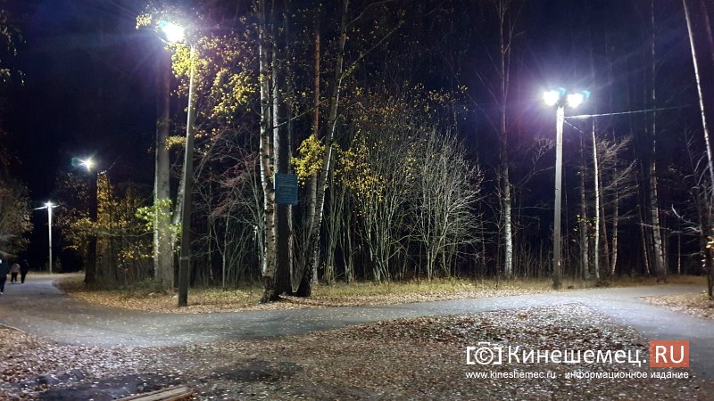 В центральном парке Кинешме восстановили освещение лыжероллерной трассы