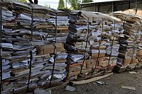 Ученики Кинешмы в ходе общегородской акции собрали 6,5 тонн макулатуры