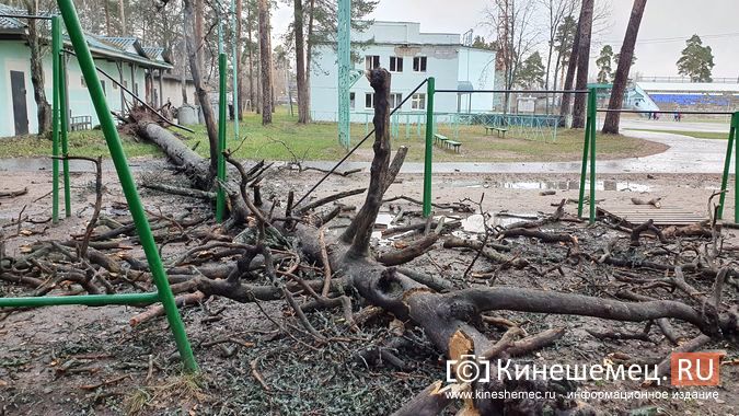 Поваленные деревья и оборванные провода: в Кинешме устраняют последствия шквального ветра