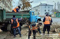 В Ивановской области ликвидируют последствия шквалистого ветра, пострадавших нет