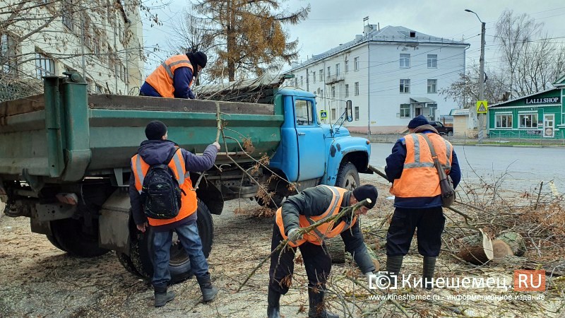 В Ивановской области ликвидируют последствия шквалистого ветра, пострадавших нет