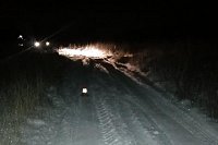 В Заволжском районе водитель «ВАЗа» сбил пешехода и скрылся