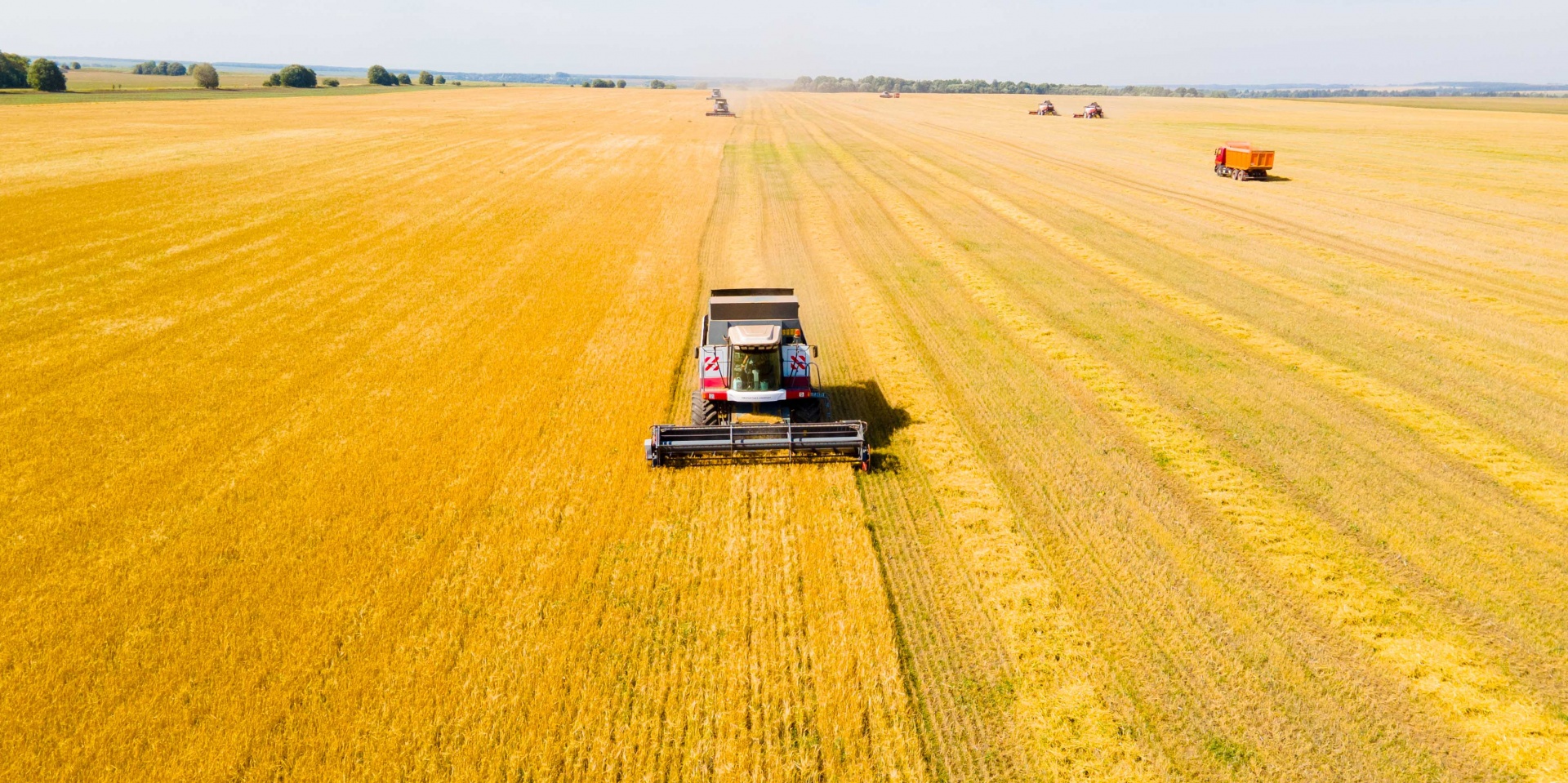 Урожай зерна в хозяйствах Ивановской области в 2022 году на 30% выше прошлогоднего