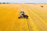 Урожай зерна в хозяйствах Ивановской области в 2022 году на 30% выше прошлогоднего