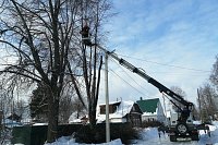 Управление городского хозяйства Кинешмы продолжает выпиловку аварийных деревьев