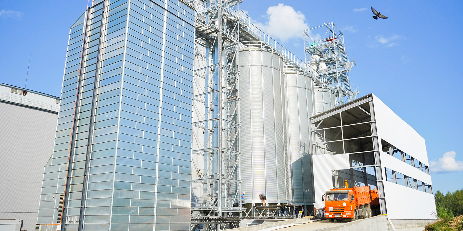 Сельхозтоваропроизводители Ивановской области впервые отправили зерно на экспорт