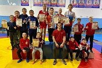 Кинешемцы – победители и призеры межрегиональных соревнований по вольной борьбе