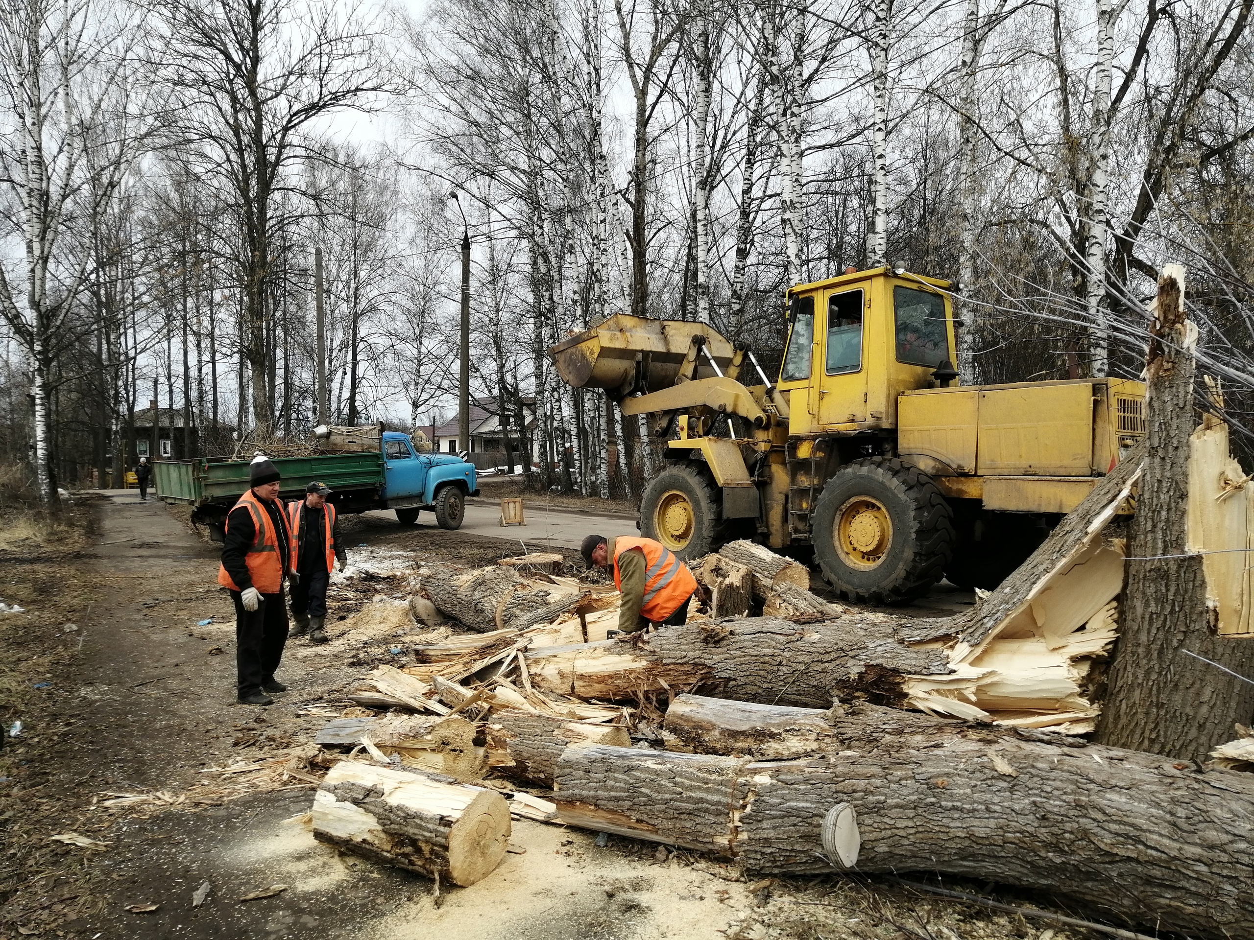 Коммунальщики очистили от аварийных деревьев улицу Кривоногова