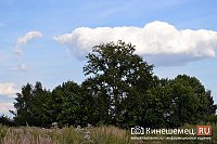 В Ивановской области с 21 апреля вводится особый противопожарный режим