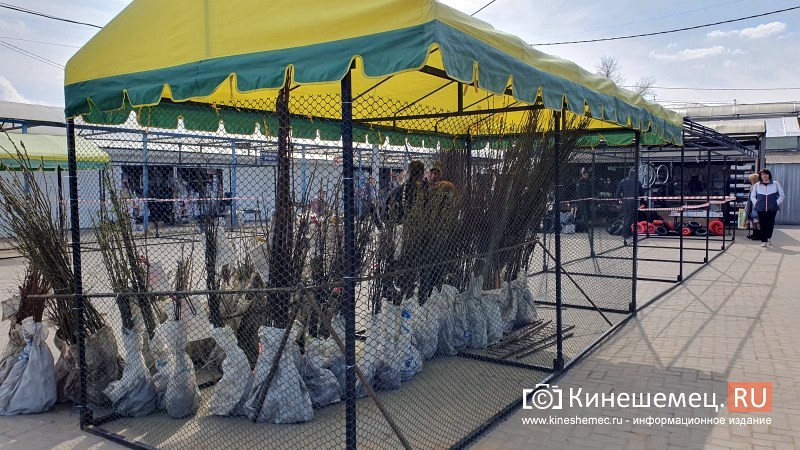 На центральном рынке Кинешмы открывается сельхозярмарка