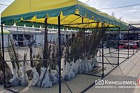 На центральном рынке Кинешмы открывается сельхозярмарка