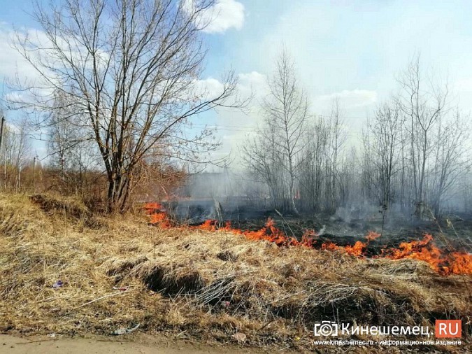 Пожарные обращаются к кинешемцам с просьбой не сжигать сухую траву