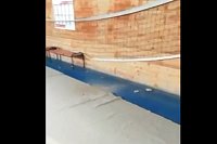 В кинешемской спортшколе «Арена»  во время тренировки гимнасток обрушился потолок