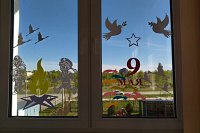 Кинешемцы активно украшают окна квартир и домов в честь 9 Мая