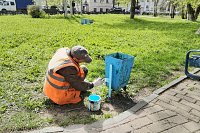 В Кинешме УГХ восстанавливает урны