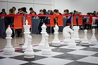 Шахматисты Кинешмы завоевали награды турнира «Евроленд-3»