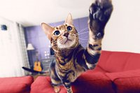 Жители Иванова к отпуску запаслись камерами видеонаблюдения