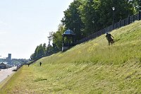 К покосу травы на Волжском бульваре привлечена подрядная организация